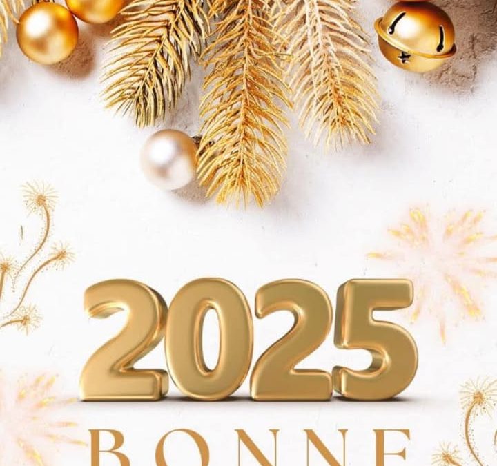 Je vous souhaite une très belle et heureuse année 2025…